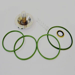 Check Valve Kit 2901050301